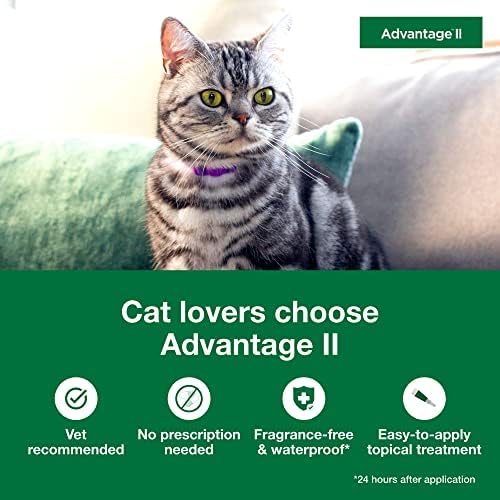 Avantaj II Büyük Kedi Veterineri - Önerilen Pire Tedavisi ve Önlenmesi | Lbs'nin Üzerindeki Kediler. | 12 Aylık Tedarik