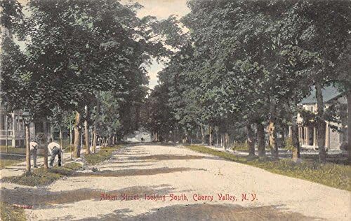 Kiraz Vadisi New York Alden Caddesi Güneye Bakıyor Antika Kartpostal J49659