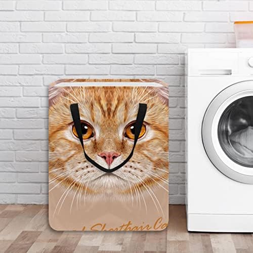 İngiliz Stenografi Kedi Baskı Katlanabilir çamaşır sepeti, 60L Su Geçirmez çamaşır sepetleri çamaşır Kutusu Giysi Oyuncak Depolama